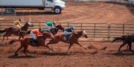 sprintvalley racing cards today|Sprintvalley Results .